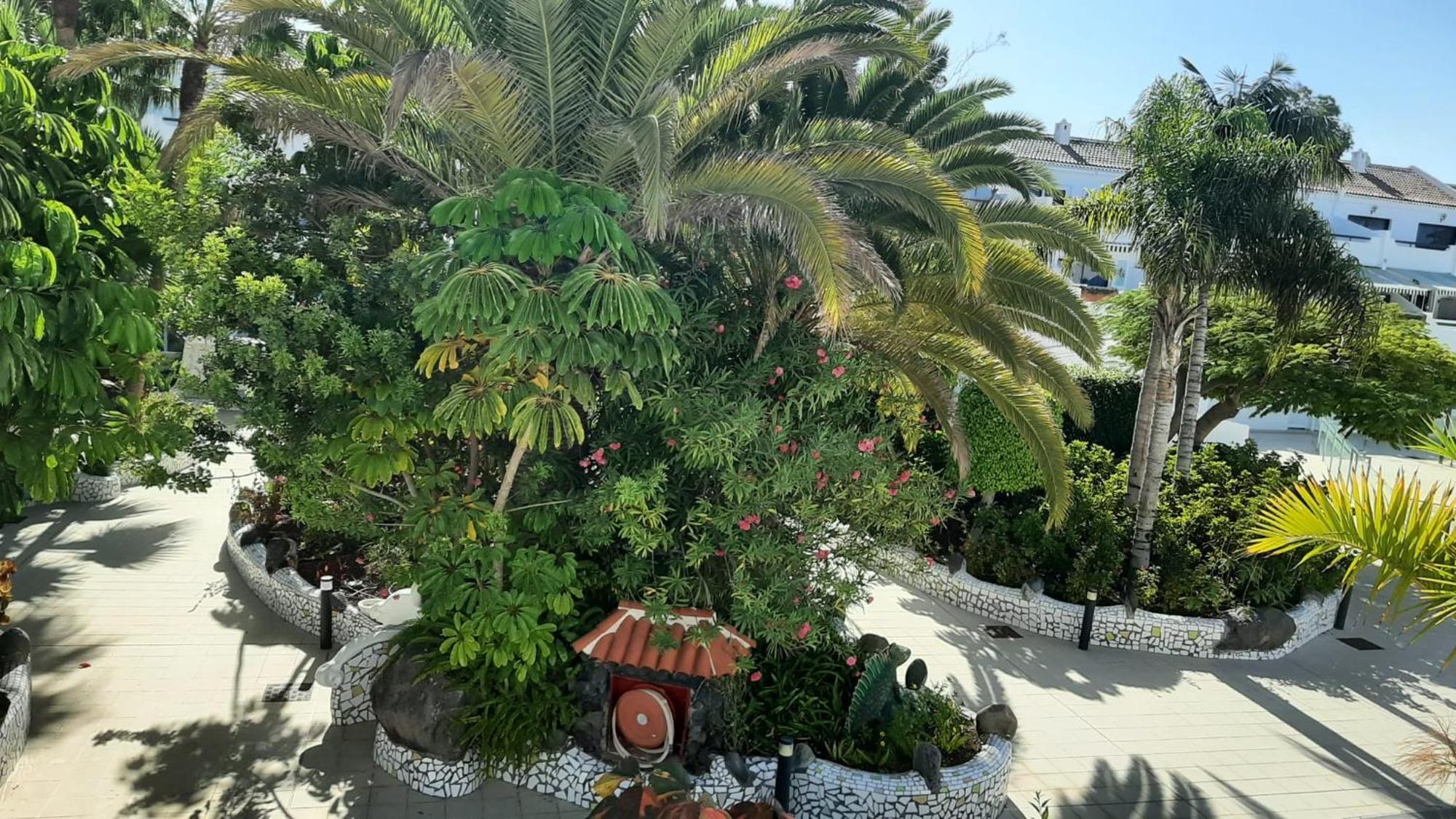 Blue Bay Paradise - Beach Front Apartment With Sea View Playa Paraiso  Extérieur photo